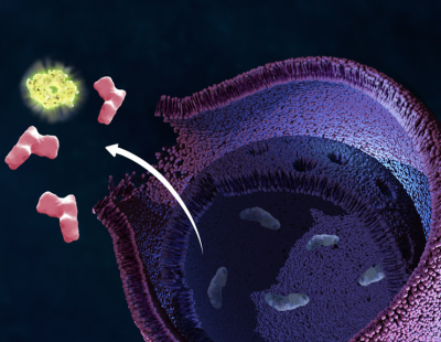 extracellular-atp-overview1